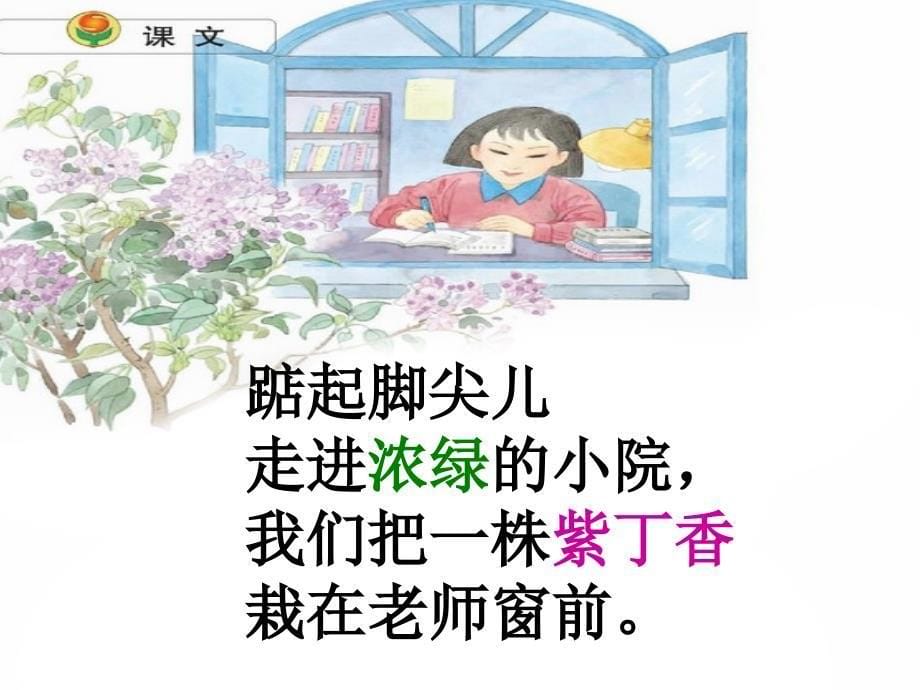 一株紫丁香(1)_第5页