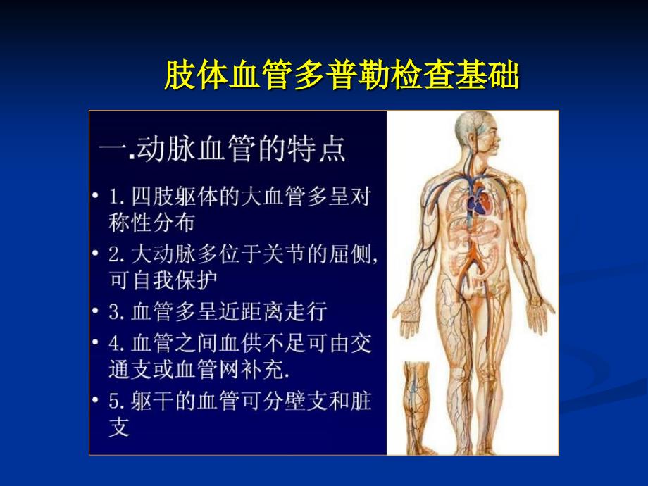 周围血管超声检查课件_第3页