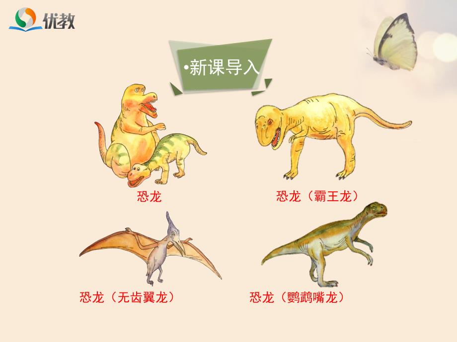 《生物进化的历程》.ppt_第2页