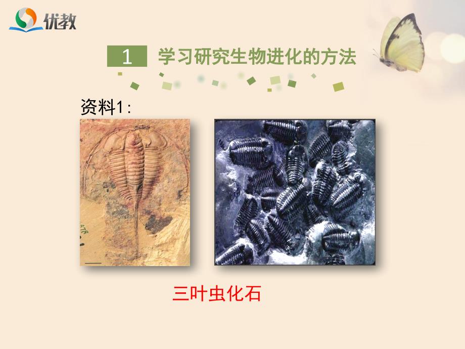 《生物进化的历程》.ppt_第5页