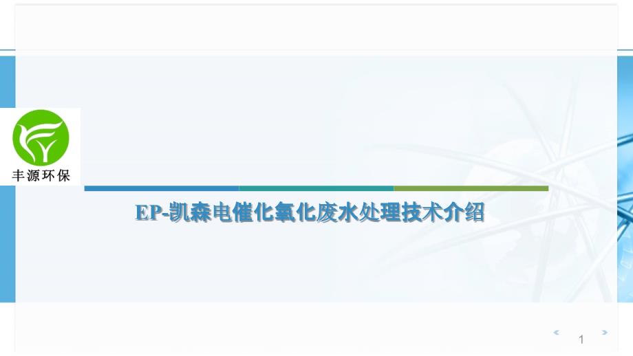 EP-凯森电催化氧化废水处理技术介绍课件_第1页