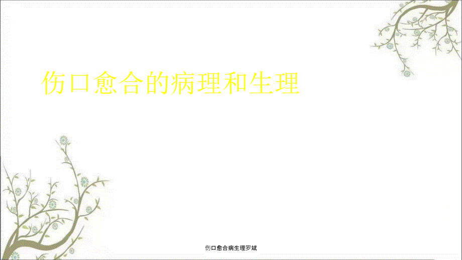 伤口愈合病生理罗斌_第1页