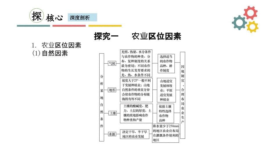 第二节-农业区位因素与农业地域类型课件_第5页