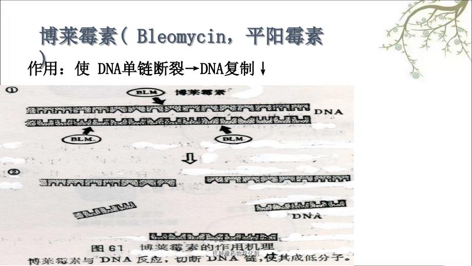 抗肿瘤药物烷化剂课件_第3页