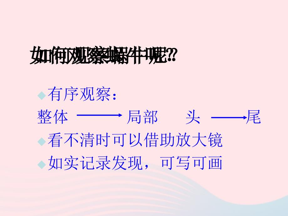 最新三年级科学上册2.2蜗牛一课件6_第3页