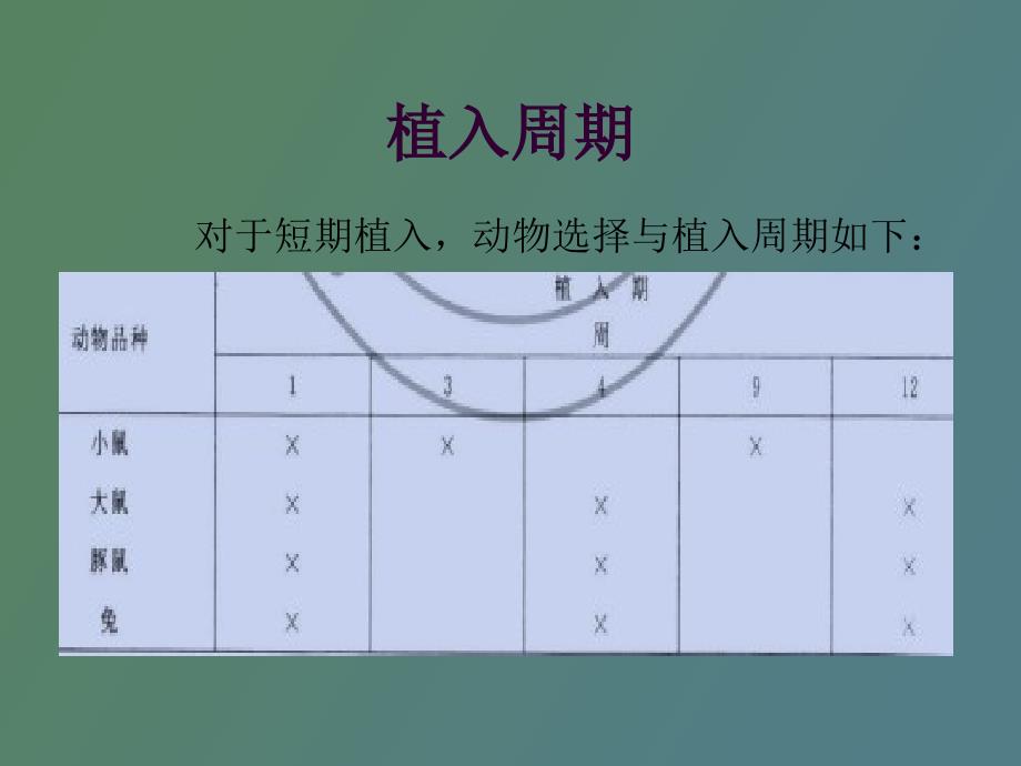 肌肉植入试验_第3页