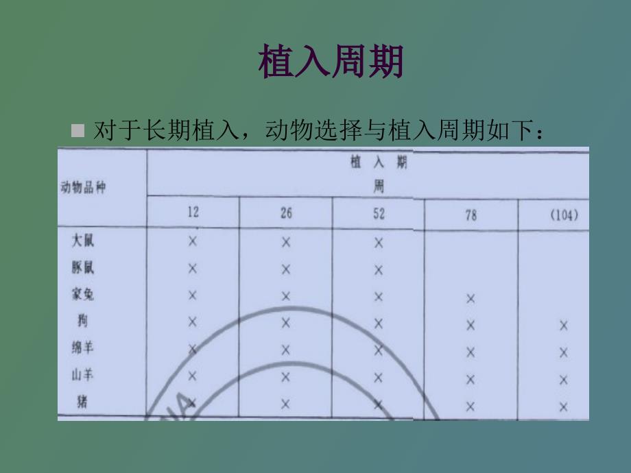 肌肉植入试验_第4页