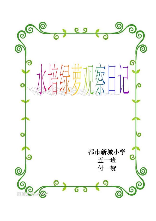 五一班水培绿萝观察日记.doc