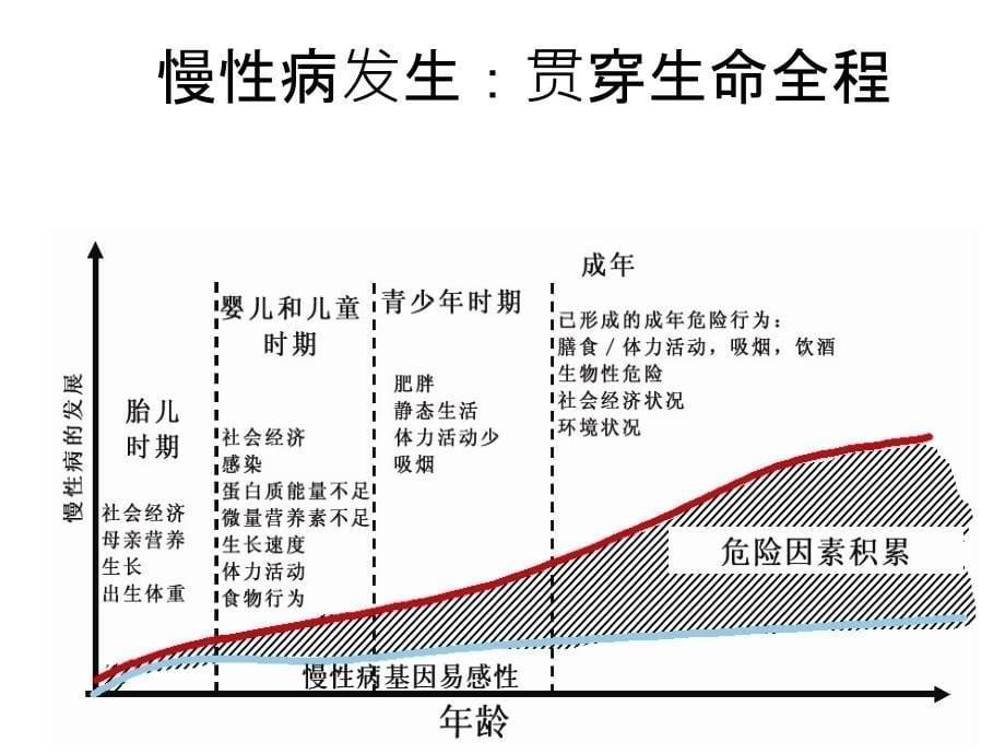 慢病自我管理基础理论课件_第5页