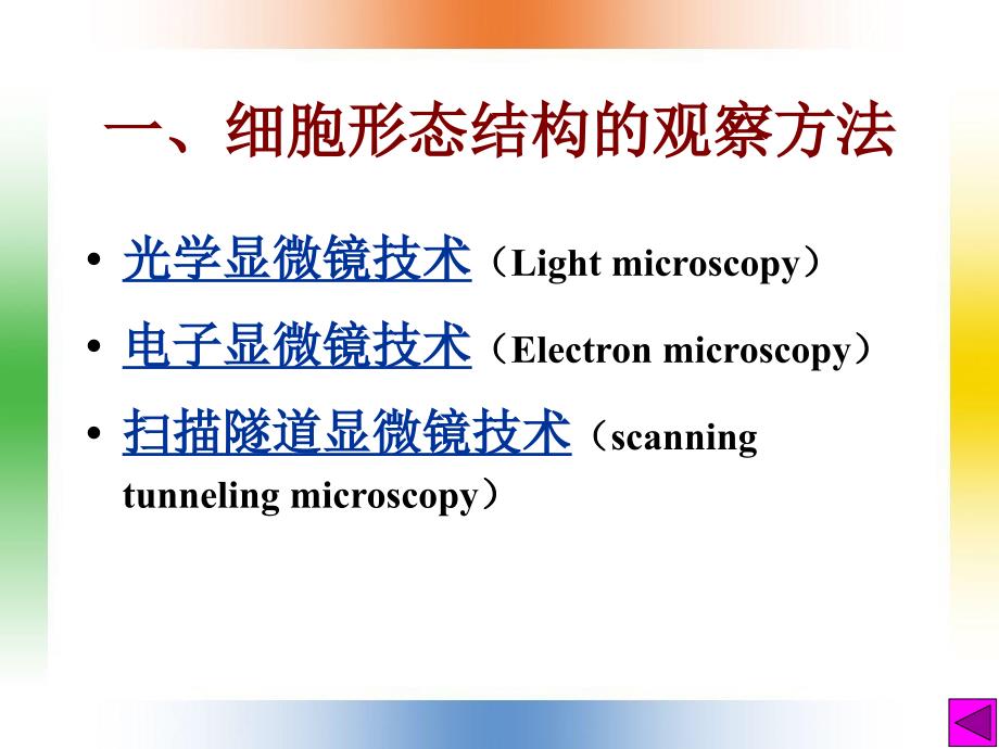 细胞生物学研究方法5课件_第4页