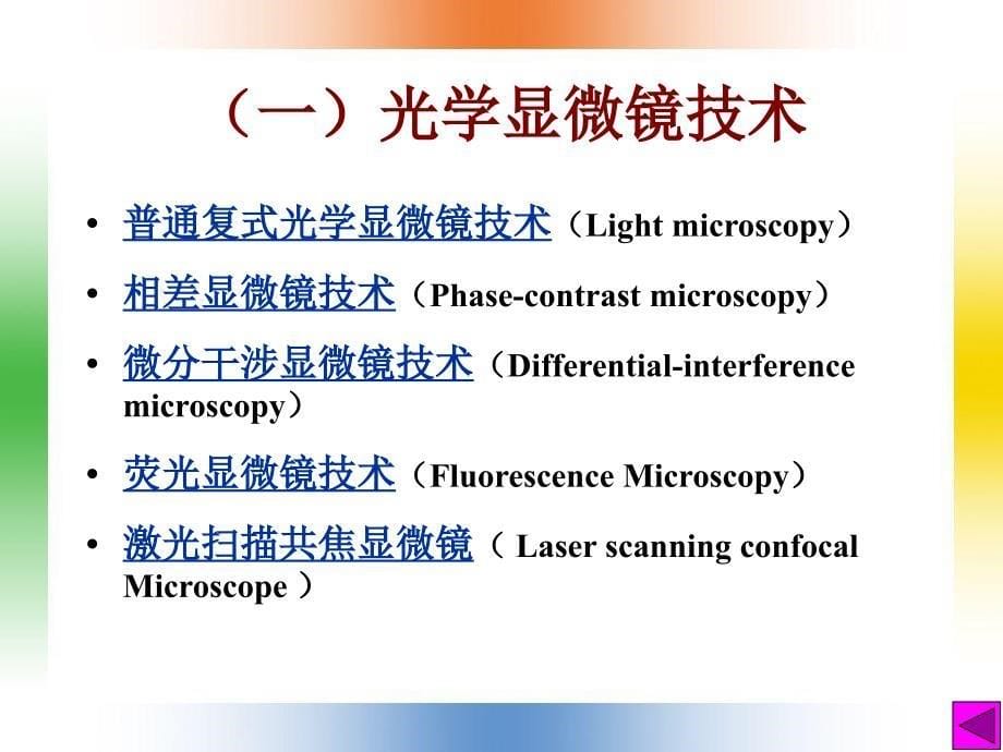 细胞生物学研究方法5课件_第5页