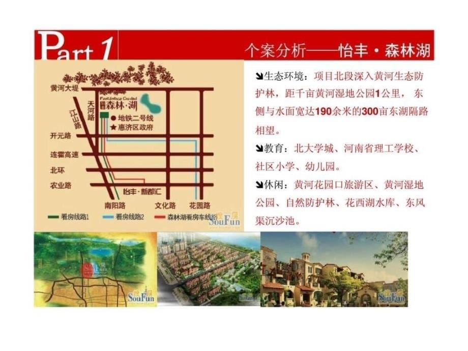 亚星上街旅游地产项目皇家群岛项目暂定商业定位建议_第5页