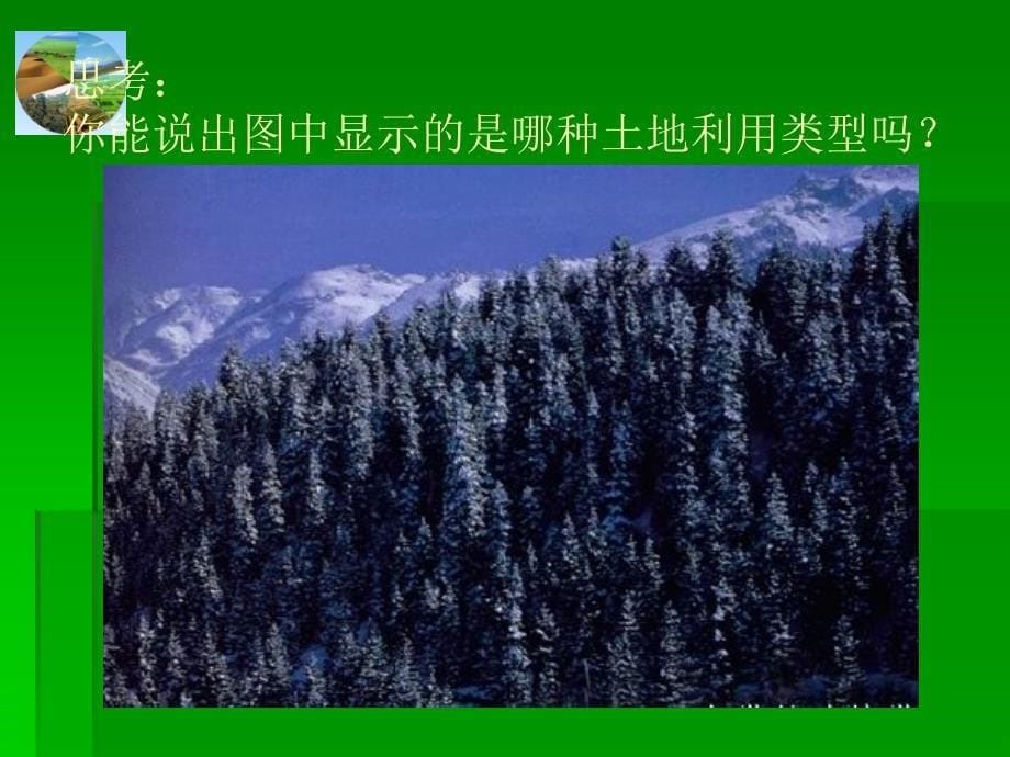 新课标　人教版初中地理八年级上册三章第二节土地资源课件_第5页