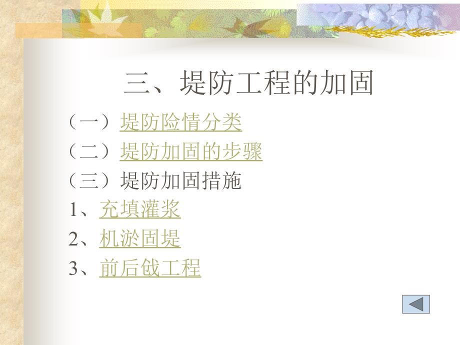 堤防工程管理技术_第4页