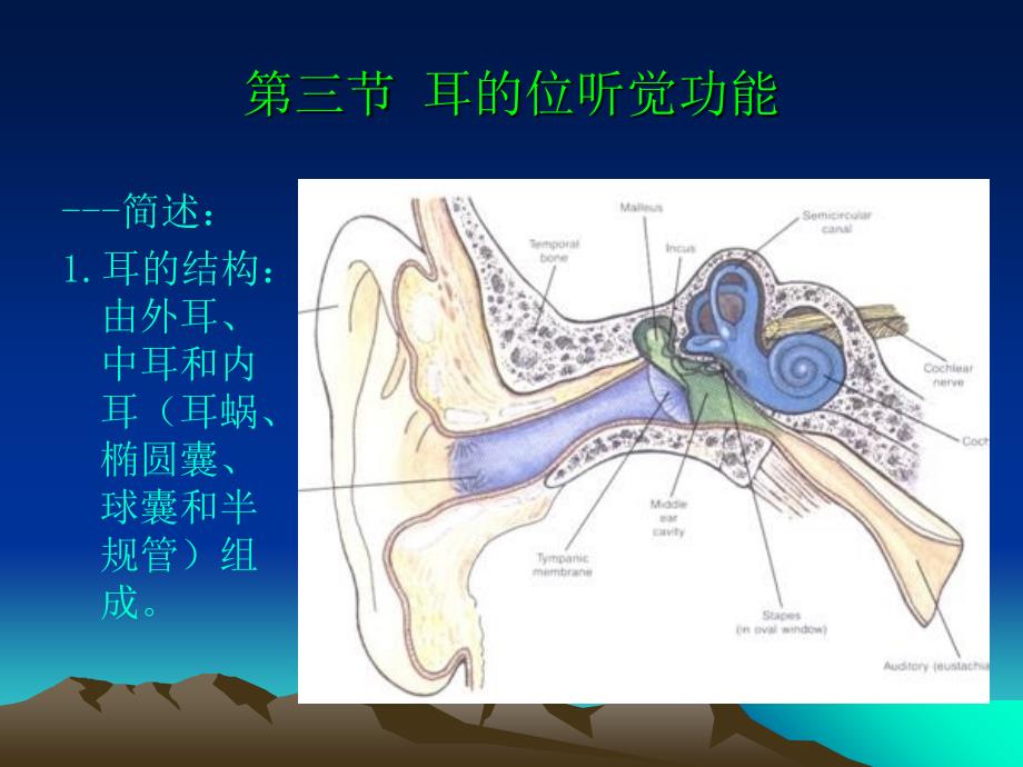 感觉生理-听觉、平衡觉、嗅觉、味觉、皮肤感觉_第1页