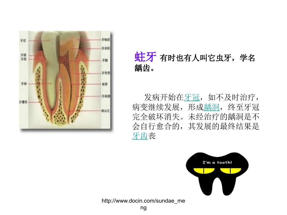 【课件】关爱牙齿更关爱你_第4页