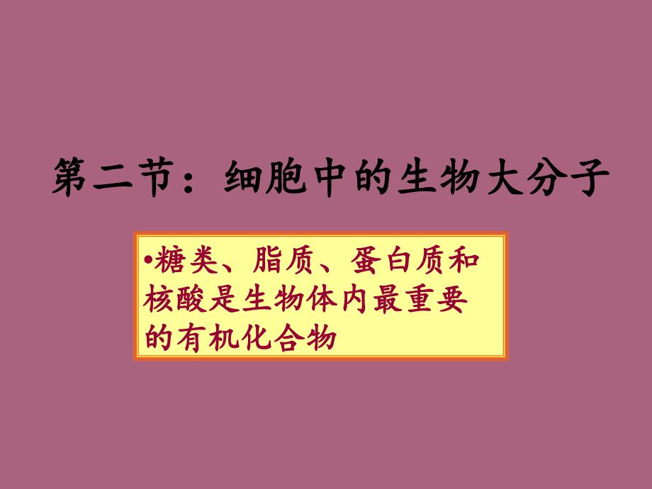 细胞中的大分子物质ppt课件_第1页