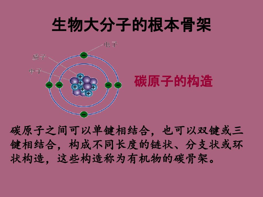 细胞中的大分子物质ppt课件_第3页