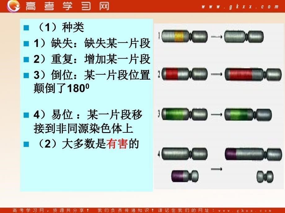 高中生物《生物的变异的来源》课件1（18张PPT）（浙科版必修2）_第5页