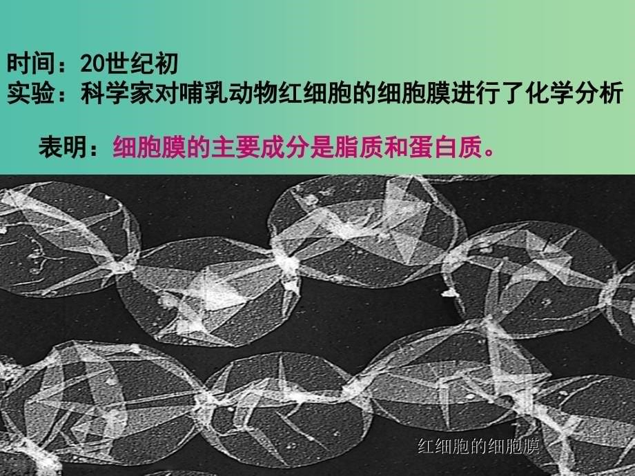 2019高中生物 专题4.2 生物膜的流动镶嵌模型同步课件 新人教版必修1.ppt_第5页