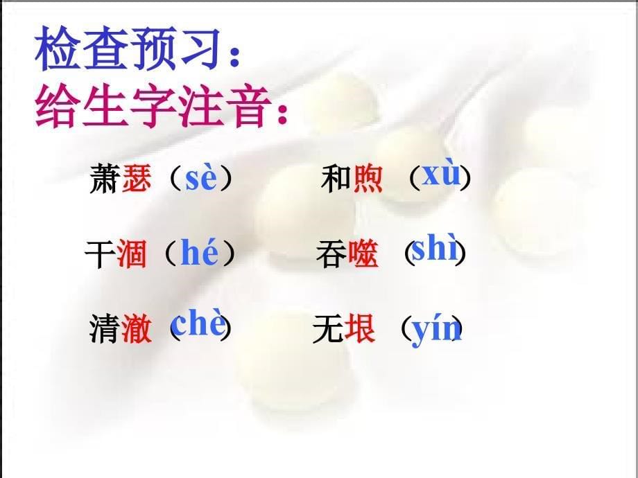 罗布泊消逝的仙湖_第5页