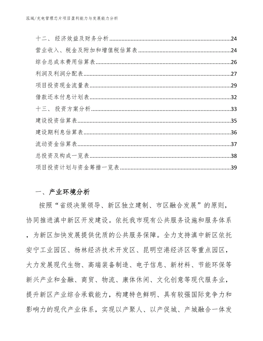 充电管理芯片项目盈利能力与发展能力分析_第2页