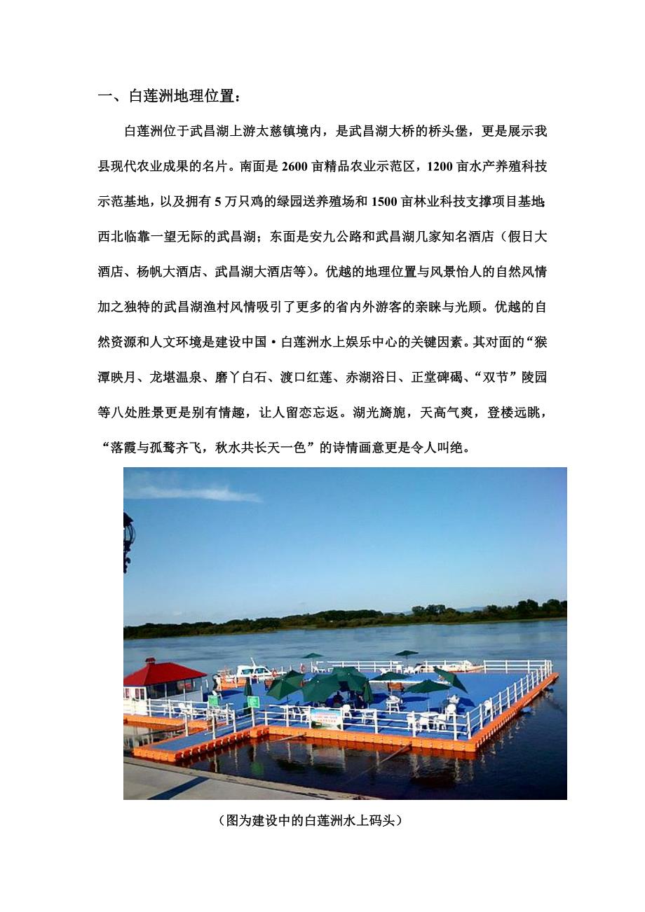 白莲洲水上娱乐中心运营策划书_第2页