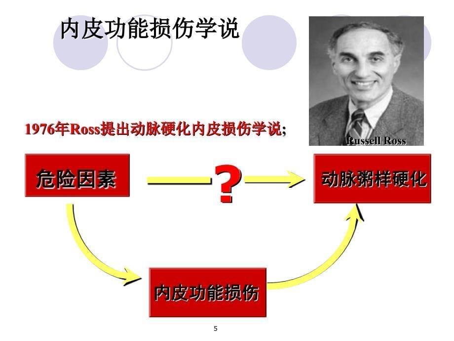 吉林大学第二医院心内科孟晓萍_第5页