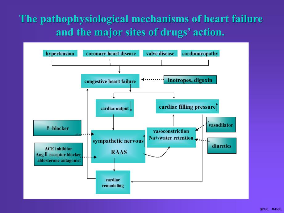 Pharmacology25颜光美药理学抗心衰药精选课件_第3页