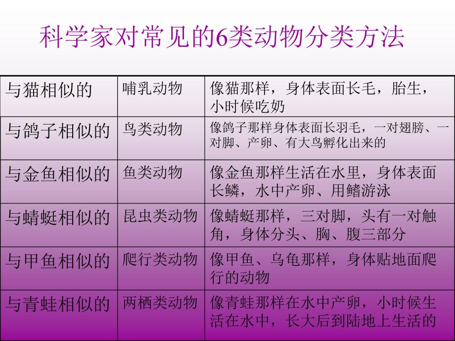 鄂教版小学科学五年级下册形形色色的动物PPT课件_第4页