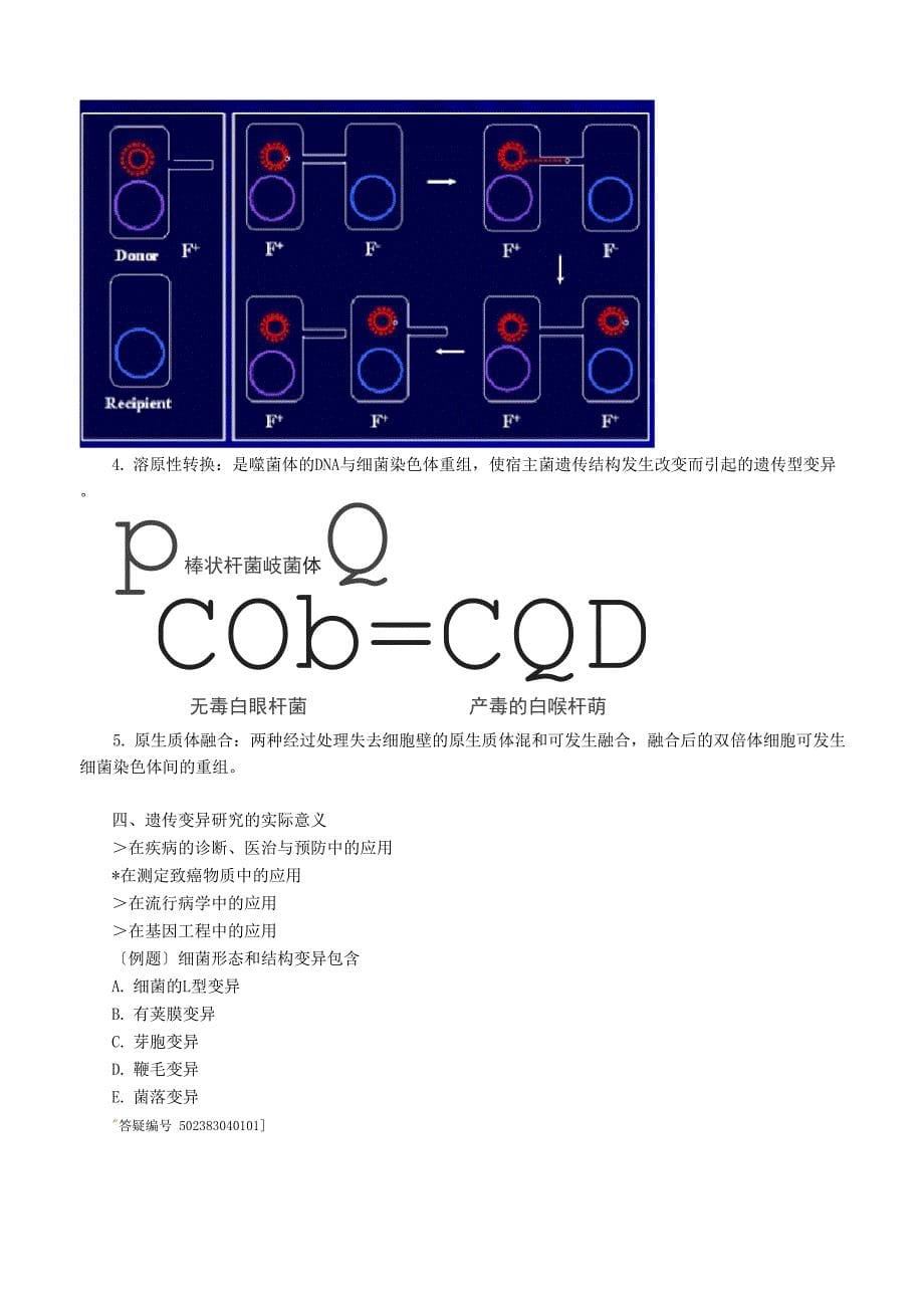 细菌的遗传与变异_第5页