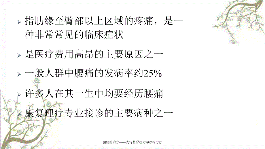 腰痛的治疗麦肯基脊柱力学诊疗方法课件_第3页