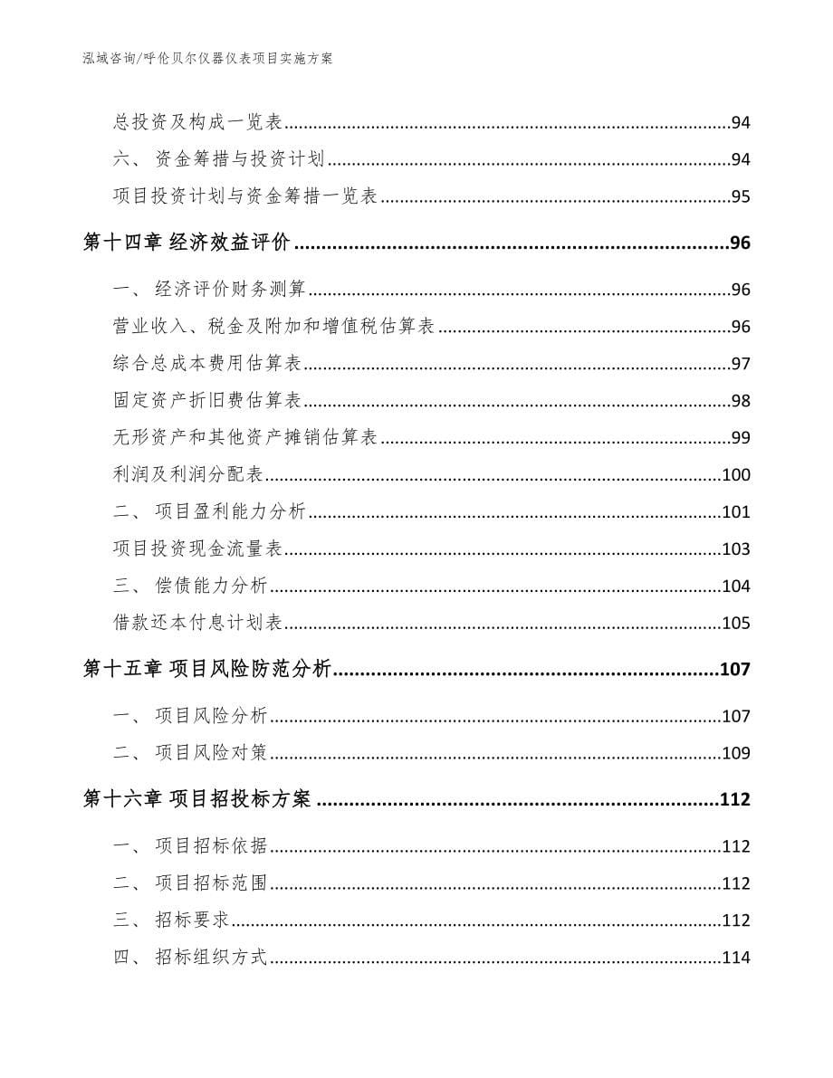 呼伦贝尔仪器仪表项目实施方案_第5页