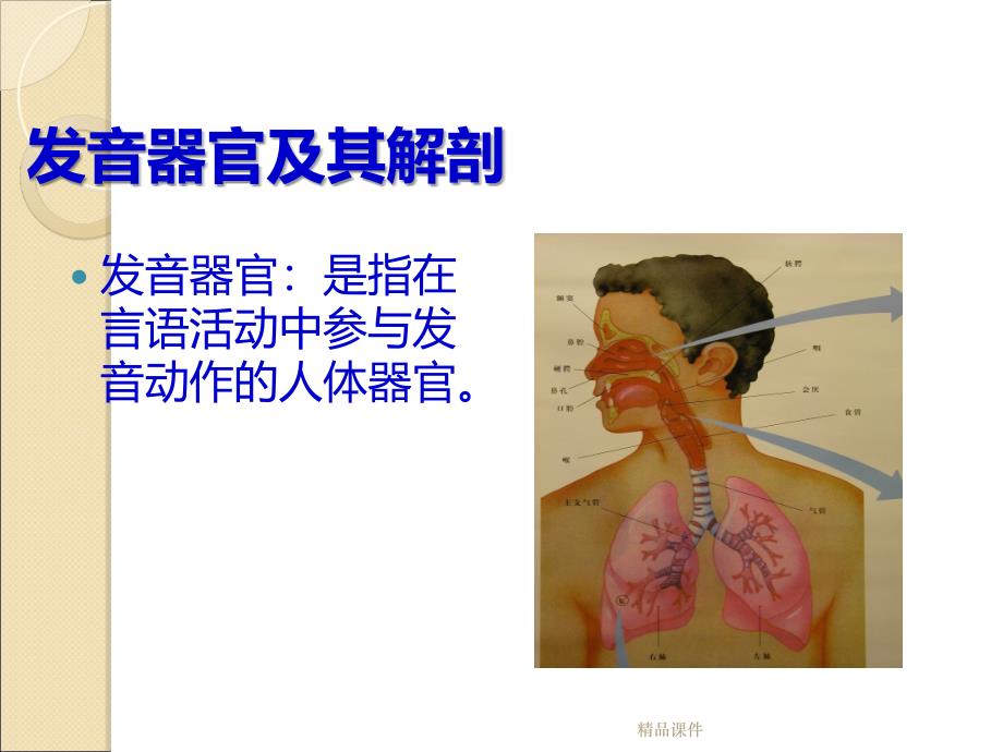 科学发声与嗓音保健课件_第4页