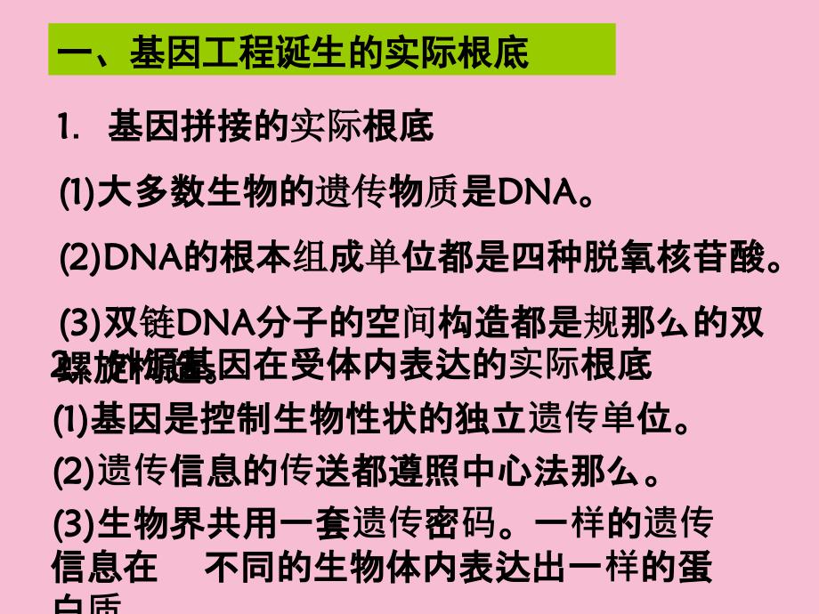 人教版高中生物选修3专题1第1节DNA重组技术的基本工具ppt课件_第3页