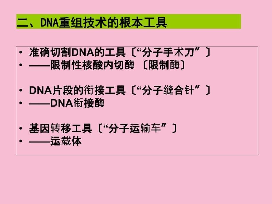 人教版高中生物选修3专题1第1节DNA重组技术的基本工具ppt课件_第5页