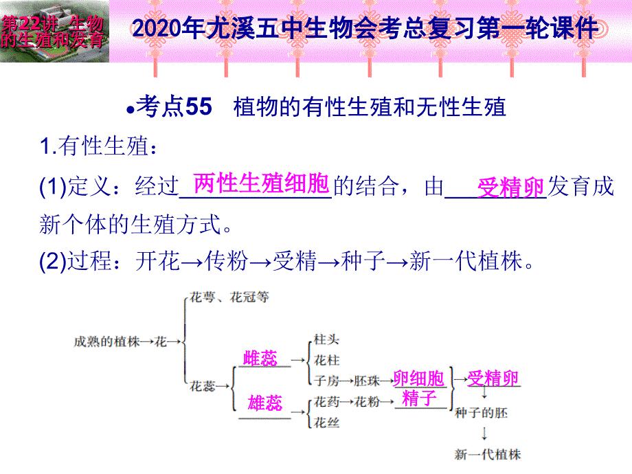 2020年生物总复习第一轮-第22讲-生物的生殖和发育课件_第2页