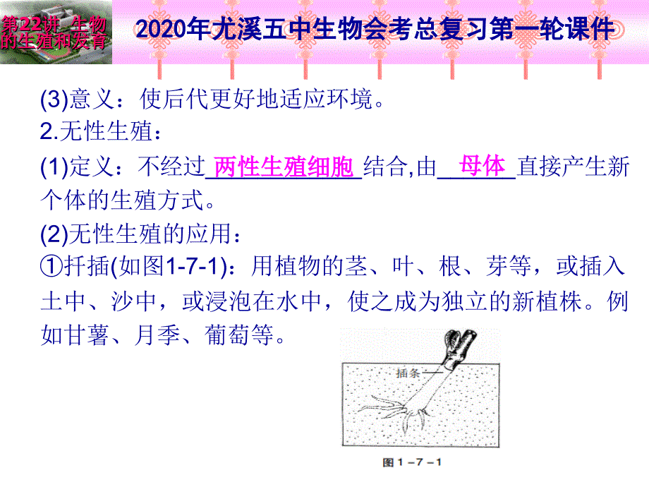 2020年生物总复习第一轮-第22讲-生物的生殖和发育课件_第3页