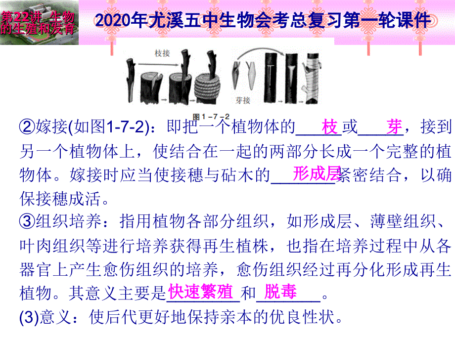 2020年生物总复习第一轮-第22讲-生物的生殖和发育课件_第4页