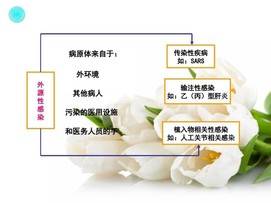 医院感染诊断与控制.ppt_第5页