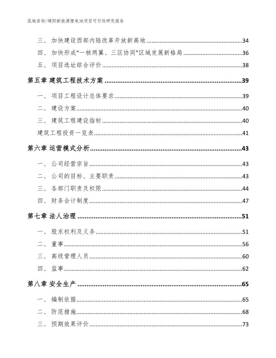 绵阳新能源锂电池项目可行性研究报告_第2页