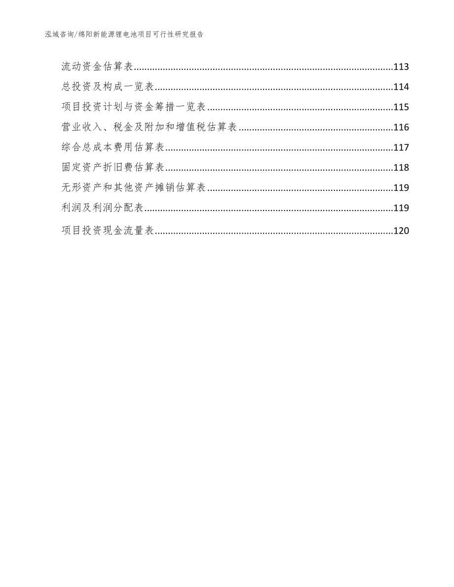 绵阳新能源锂电池项目可行性研究报告_第5页