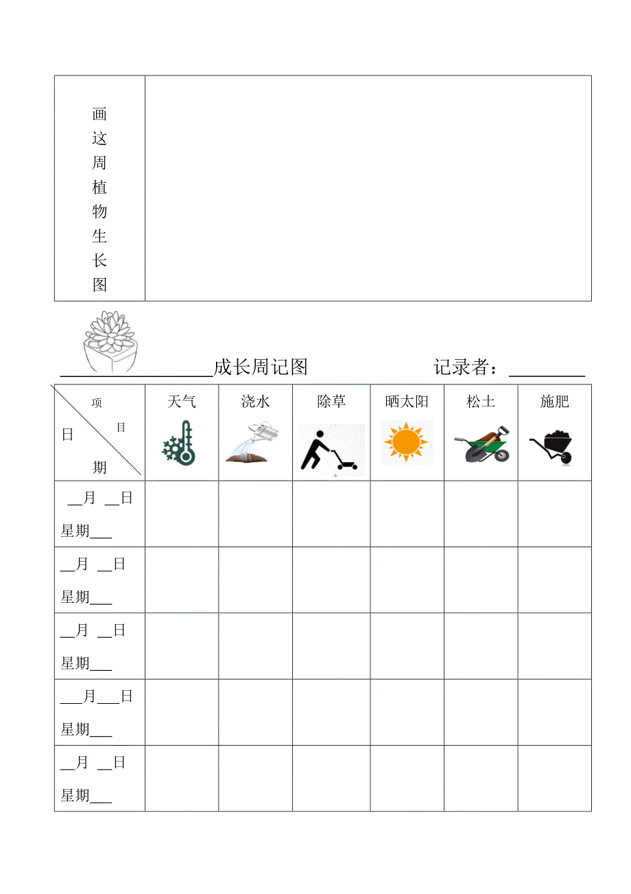 植物观察记录表.doc_第4页