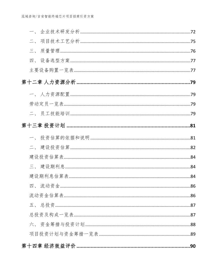 吉安智能终端芯片项目招商引资方案（范文参考）_第5页