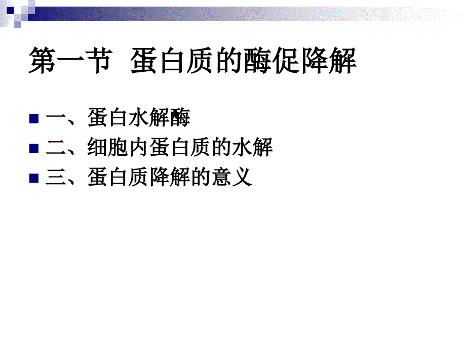 《蛋白质的降解》PPT课件_第3页