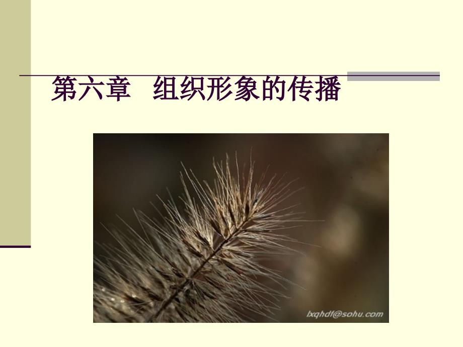 《组织形象的传播》PPT课件.ppt_第1页