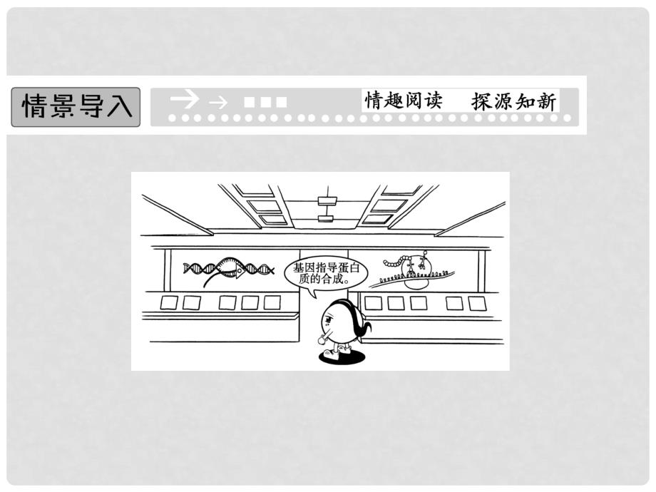 高中生物 3.2.2 基因的表达精品课件 中图版必修2_第2页