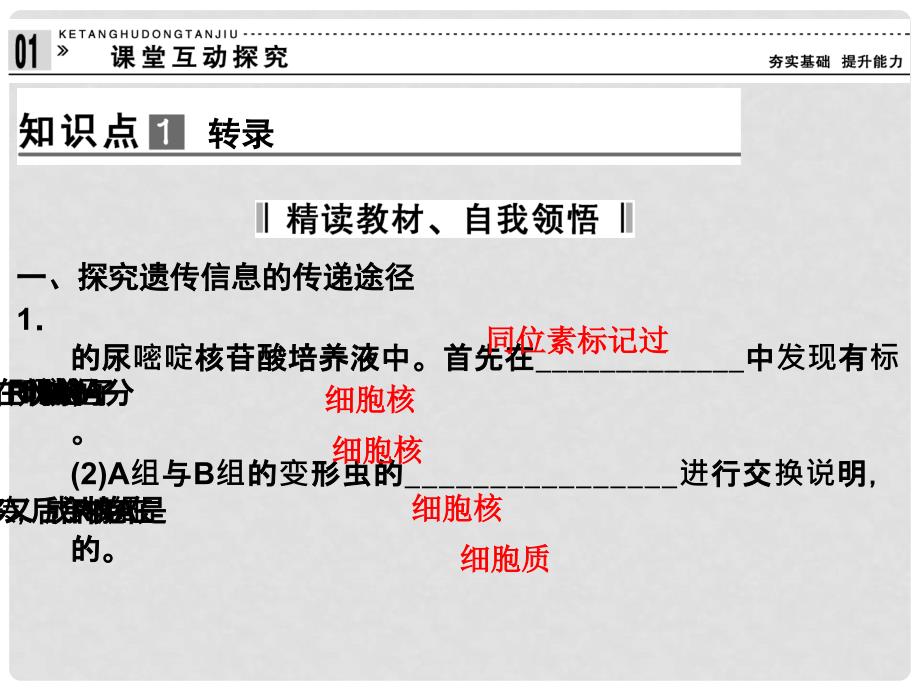 高中生物 3.2.2 基因的表达精品课件 中图版必修2_第4页