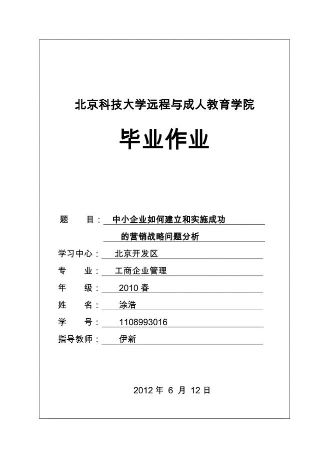 中小企业如何建立和实施成功的营销战略论文