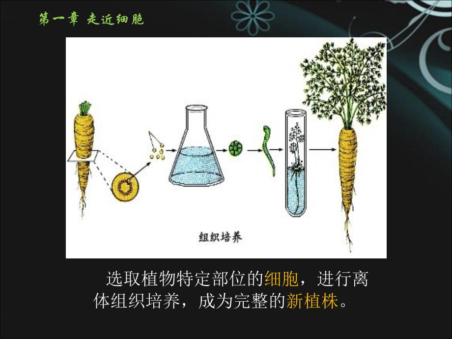 从生物1圈到细胞_第2页